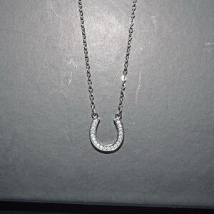 Silver Stainless Steel Horseshoe Necklace